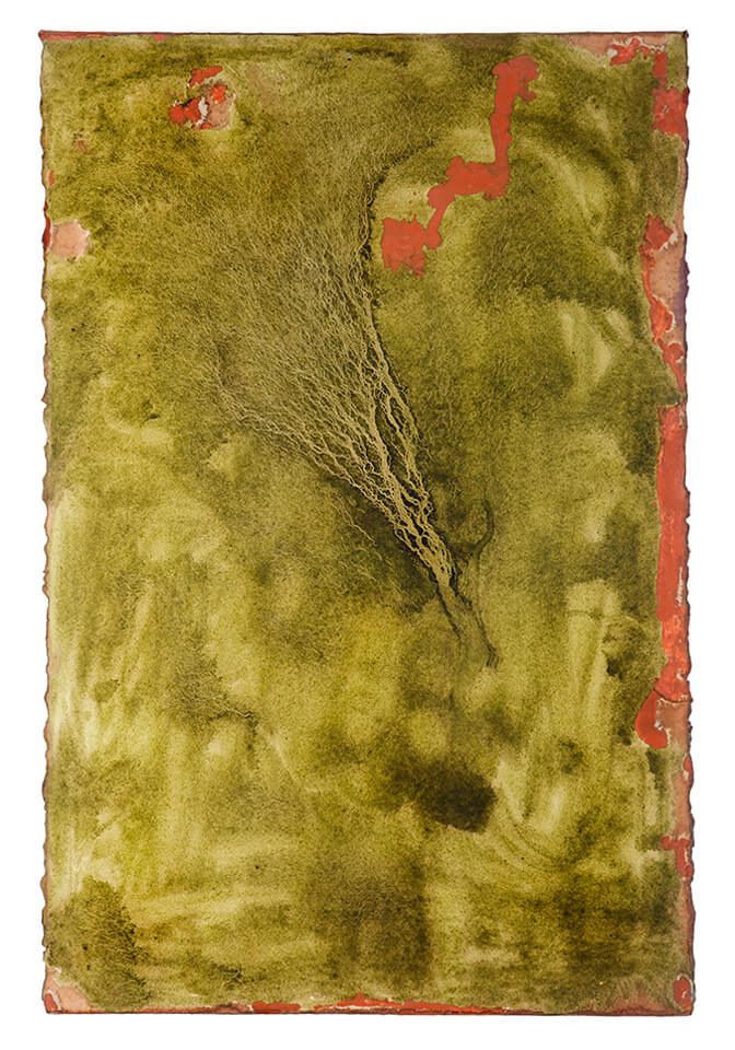 chontaduro papel 23.jpg